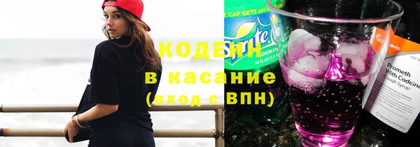 гашик Алзамай