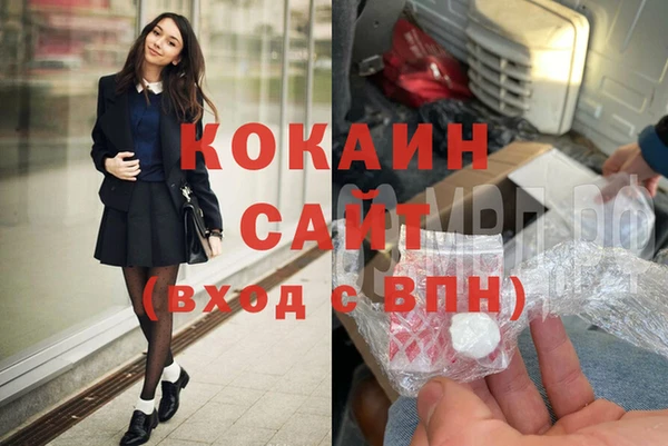 гашик Алзамай